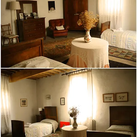Azienda Agricola Palazzo Manzoni * San Zaccaria